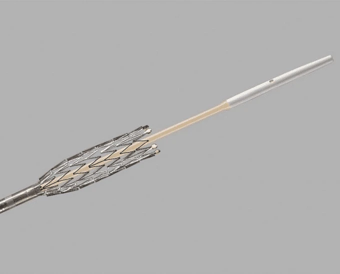 Vascular Stent Manufacturer Vascular Stent Manufacturer